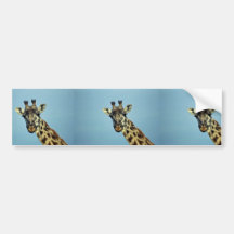 Giraffe Bumper Sticker