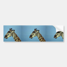 Giraffe Bumper Stickers