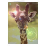 giraffe card
