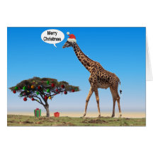 Giraffe Christmas Cards