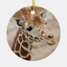 Giraffe Christmas Ornament