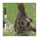 giraffe dry erase board