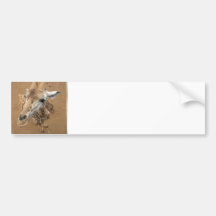 Giraffe Gaze Bumper Sticker