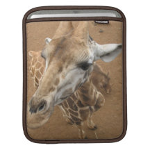 Giraffe Gaze iPad Sleeve