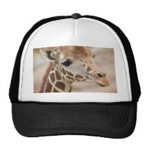 giraffe hats
