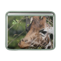 Giraffe Images  13" MacBook Sleeve