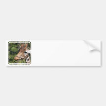 Giraffe Images Bumper Stickers