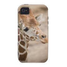 Giraffe iPhone 4 Covers