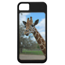 Giraffe iPhone case iPhone 5 Case