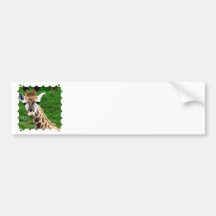 Giraffe Photo Bumper Stickers