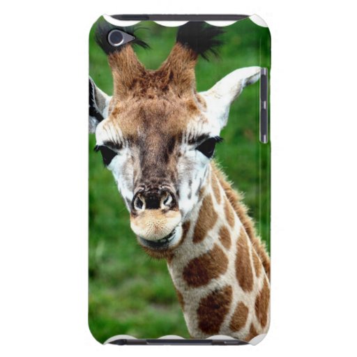 giraffe ipod case