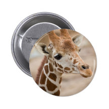 giraffe pinback button