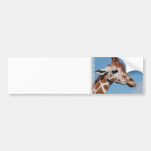 Giraffe Profile Bumper Sticker