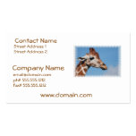 Giraffe Profile Business Cards