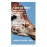 Giraffe Profile Business Cards