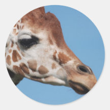 Giraffe Profile Stickers