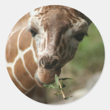 Giraffe Snack Sticker