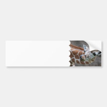 Giraffe Tongue Bumper Stickers