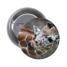 Giraffe Tongue Button