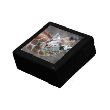 Giraffe Tongue Gift Box