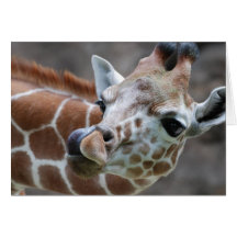 Giraffe Tongue Greeting Card