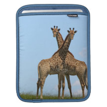 Giraffe Twins iPad Sleeve