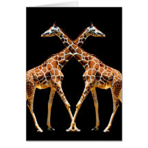GIRAFFES IN PASSING GREETING CARD