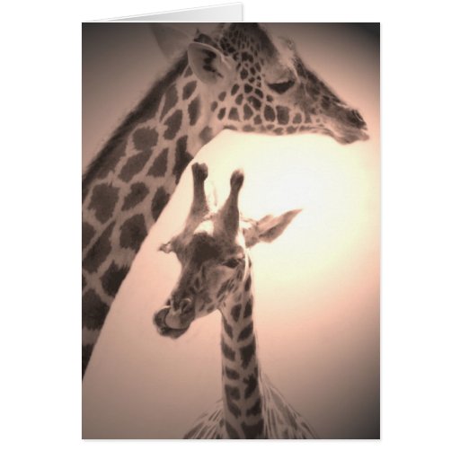 giraffes, mother and child cards