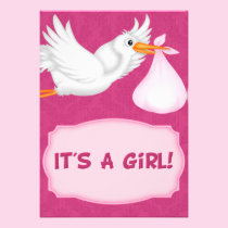 Girl Stork  Baby Shower  Invitation invitations