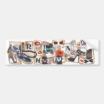 Girls Just Want To Have Fun Bumper Stickers