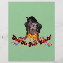 Give Me Your Candy Dachshund and Candy Custom Flyer