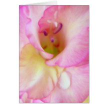Gladiola in the Morning Card
