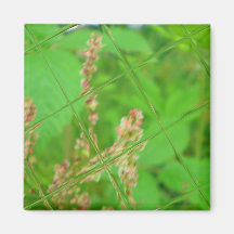 Glass Garden Fridge Magnets