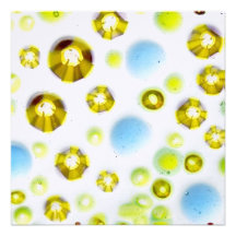 glass garden no. 3 custom invitation