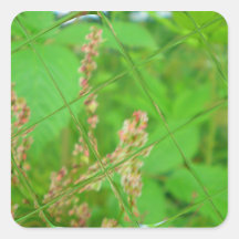 Glass Garden Sticker