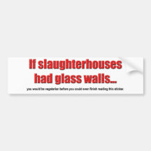 Glass Walls Bumper Sticker