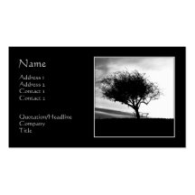 Glastonbury Hawthorn. Tree. Black and White. Business Card