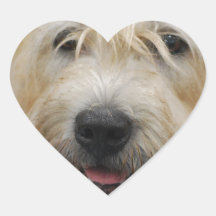 Glen of Imaal Terrier Stickers