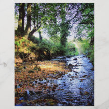 Gleno Falls 6 Custom Flyer