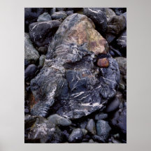 Glistening Rocks Posters
