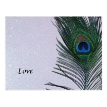 Glittery White Peacock Feather Still Life Post Cards