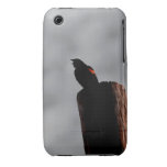 Gloomy Bird iPhone 3 Case-Mate Cases