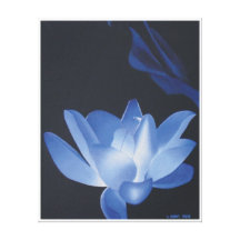 Glow Flower Gallery Wrapped Canvas