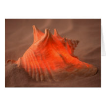Glowing Conch Greeting Card