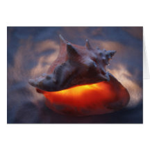Glowing Conch Greeting Cards