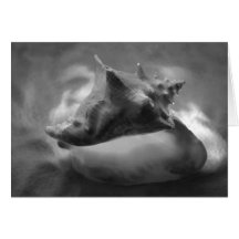 Glowing Conch Greeting Cards