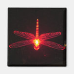 Glowing Dragonfly Refrigerator Magnets