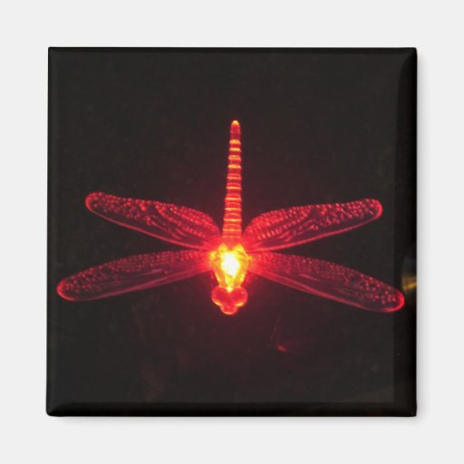 Glowing Dragonfly Refrigerator Magnets