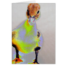 Glowing Muscovy Cards