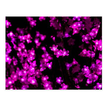 Glowing Pink Flower Lights Post Cards